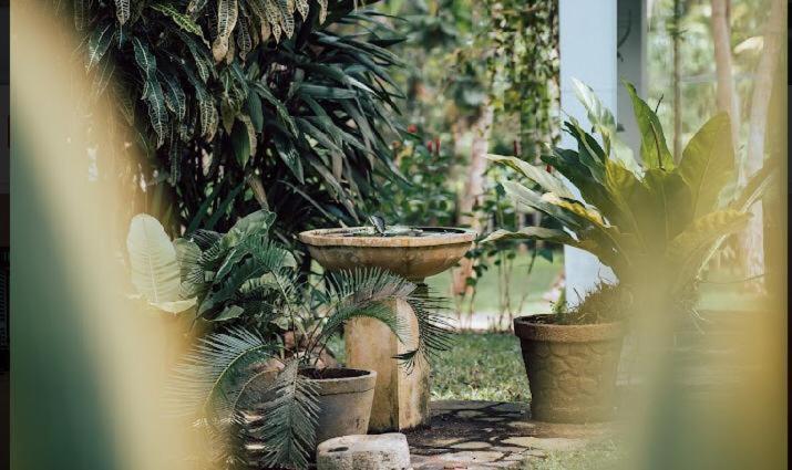 Amara Villa Ahangama Ngoại thất bức ảnh